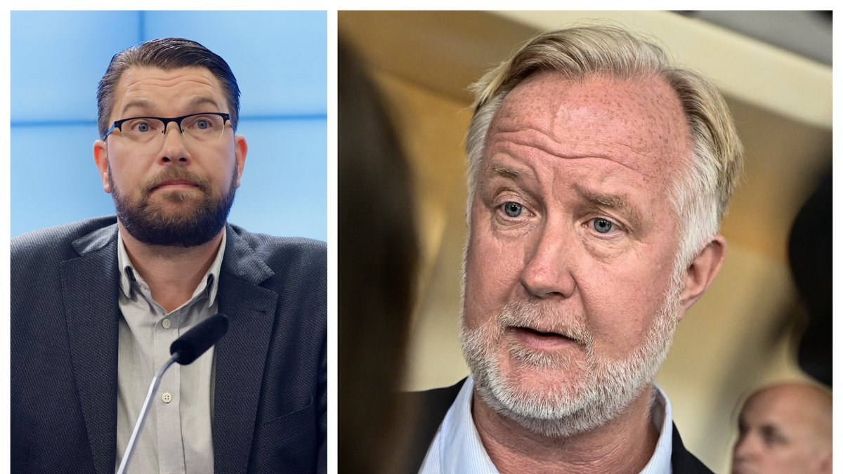 Johan Pehrson (L) vill inte ingå i en regering med Sverigedemokraterna.
